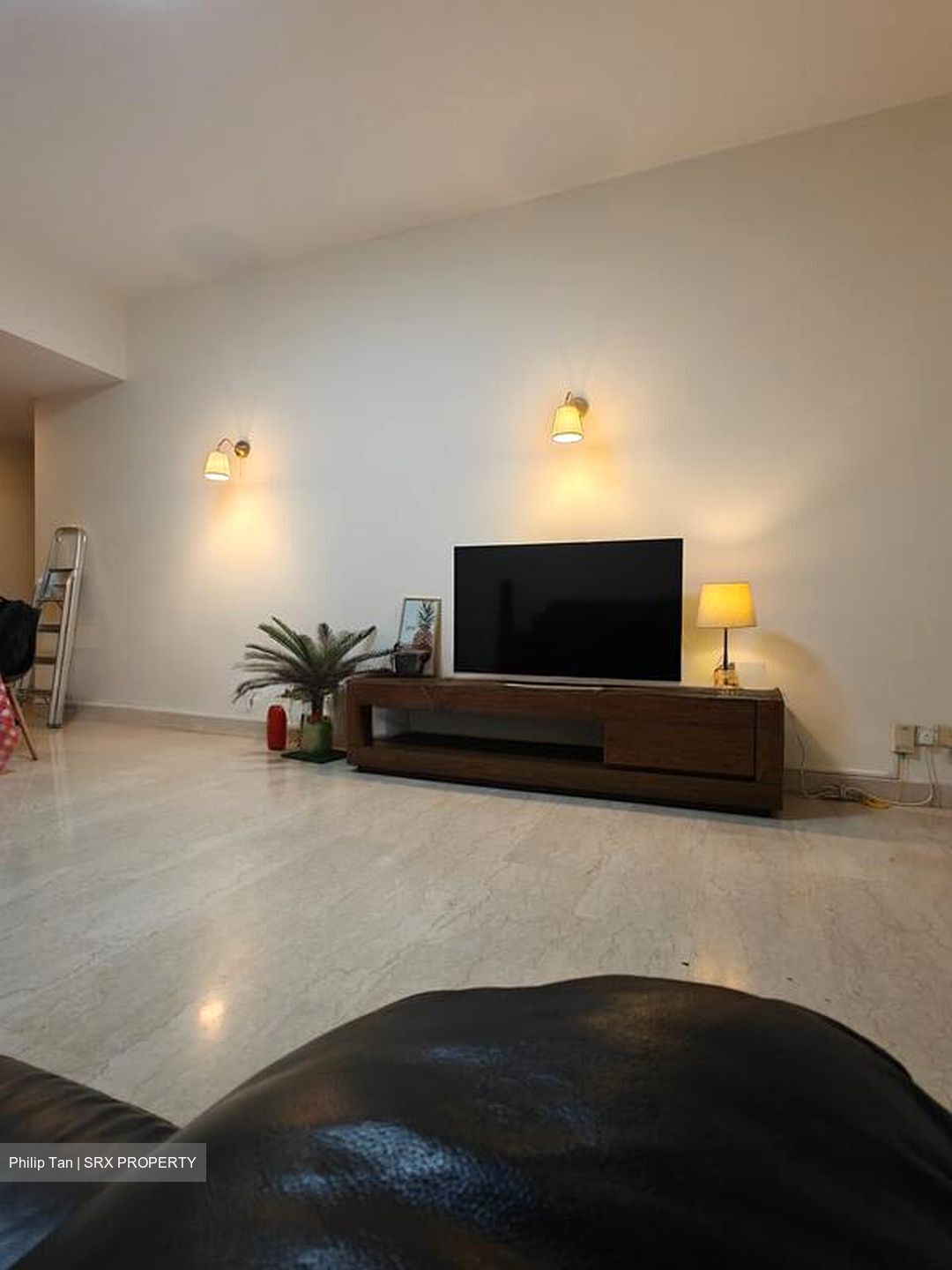 Simsville (D14), Condominium #580243091